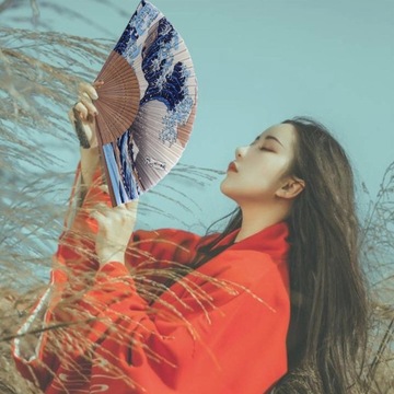 Японская китайская сложенная сложенная вахни с ручкой декоративное украшение