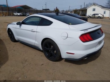 Ford Mustang VI 2022 Ford Mustang Ecoboost Fastback 2022 2.3 Benzyna 310KM, zdjęcie 3