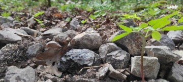 ДЕРЖАТЕЛЬ ДЛЯ КЛЮЧЕЙ САДОВЫЙ ДЕКОРАТИВНЫЙ КАМЕНЬ ДЛЯ САДА