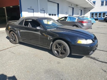 Ford Mustang IV 1999 Ford Mustang Cobra Svt 1999 4.6l 4.6 Benzyna 320KM, zdjęcie 4