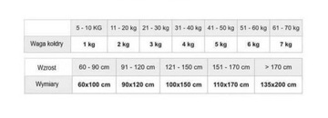 Одеяло гравитационное детское 60х100 1кг.