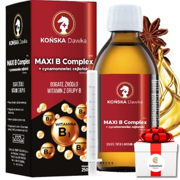 Witamina B B1B2 B3 KOŃSKA DAWKA + Cynamonowiec cejloński MAXI B Complex