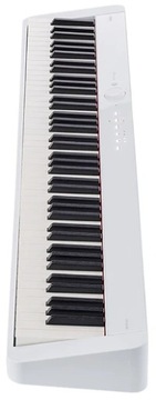 Блок питания CASIO PX-S1100 WE DIGITAL PIANO Настольный компьютер