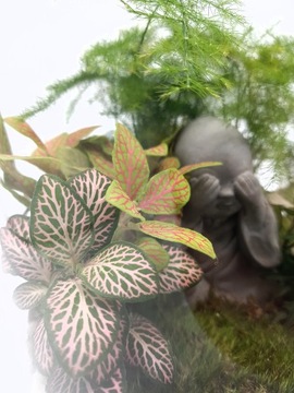 Лес в банке, лес в стекле + ФИГУРКА БУДДА, ХИТ своими руками