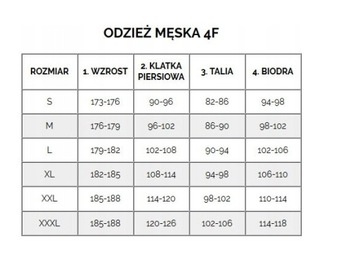 4F KOSZULKA POLO CZARNA POLÓWKA 100% BAWEŁNA TSM008B r. L