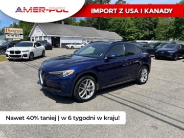 Alfa Romeo Stelvio SUV 2.0 Turbo 280KM 2019 Alfa Romeo Stelvio 2019 ALFA ROMEO STELVIO TI 2.0 Benzyna 280KM