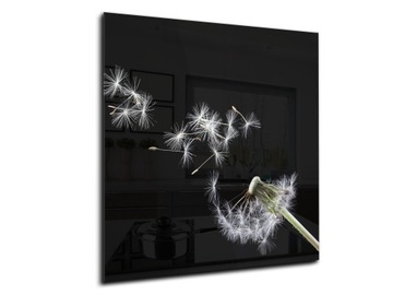 panel szklany między meble dekor 50x55 dmuchawiec