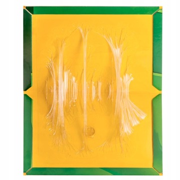 ЛОВУШКА ДЛЯ КРЫС И ГРЫЗУНОВ СТЕКЛЯННАЯ ЛОВУШКА ДЛЯ МЫШИ С ПРОЧНЫМ КЛЕЕМ 30 ШТ.