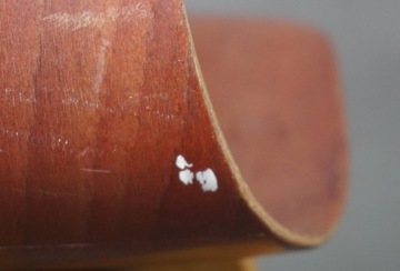 Krzesełko dziecięce Flototto \ Pagholz Schulmöbel lata 60-70 te.