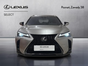 Lexus UX Crossover Facelifting 2.0 250h 184KM 2023 Lexus UX 250h GPF F Sport Design 2WD Lexus UX 250h, zdjęcie 5