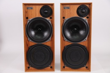 KOLUMNY CELESTION DITTON 15