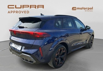 Cupra Terramar 2025 Cupra Terramar Pakiety, HUD, Sennheiser, ACC, Kamera 360, GPS, Bezwypadko, zdjęcie 15
