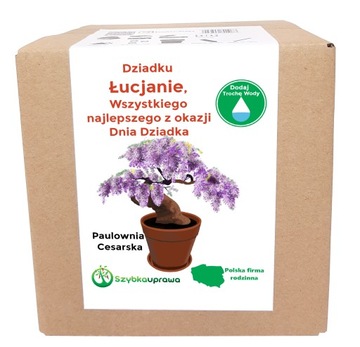 Zestaw BONSAI paulownia Dzień Dziadka Łucjan