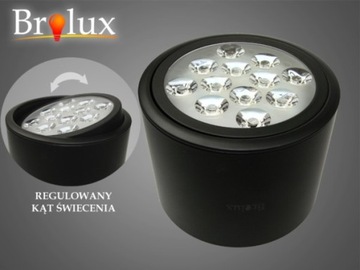 DOWNLIGHT LED RYMAN 12W WW CZARNY