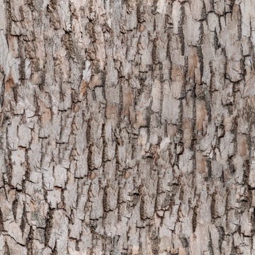 TAPETA DREWNO KORA NATURA LAS PRZYRODA 5227al