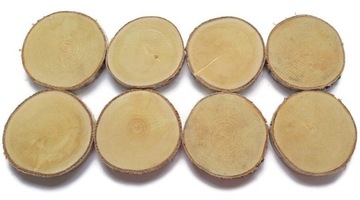 Plastry drewna 8 szt Brzoza krążki EKO 10-12 cm
