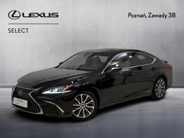 Lexus ES VII (XV70) Sedan 300h 218KM 2019 Lexus ES 300h Business Edition Lexus ES 300h Busin