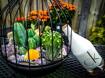 CALVIN KLEIN CK IN2U FOR HER В ЦЕНТРИРОВАННОЙ УПАКОВКЕ 100 МЛ