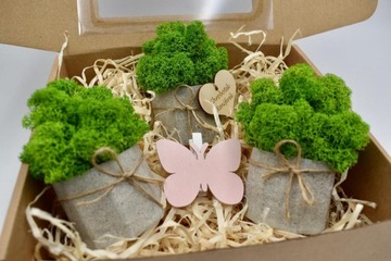 Весенний набор крабовых лесов