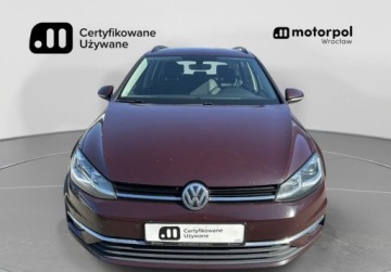 Volkswagen Golf VII Variant Facelifting 1.6 TDI-CR DPF BMT 115KM 2018 Volkswagen Golf Variant Comfortline Pakiety, ACC, ergoActive z masazem, G, zdjęcie 9