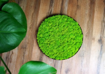 Картина круглая подушка из мха, диаметр 40 см.