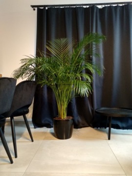 МЕТАЛЛИЧЕСКАЯ ОПОРА САДОВАЯ ПЕРГОЛА ДЛЯ РАСТЕНИЙ И ЦВЕТОВ ЧЕРНАЯ ЗАЖИМ 70 СМ