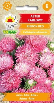 Aster Ribbon Red NASIONA 0.5g