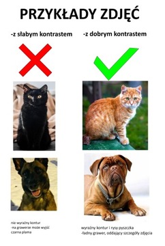 Могильная доска для собаки и кошки, ГРАВИРОВКА ФОТО