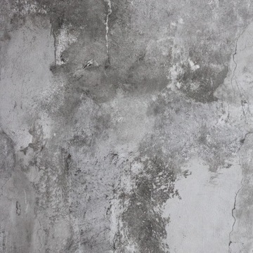 TAPETA NA FLIZELINIE IMITACJA BETON TYNK WL1201