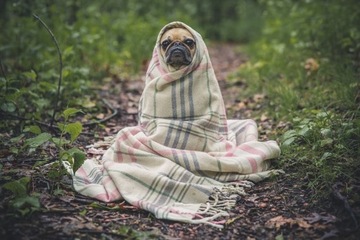 ПОДСОЛОМА ДЛЯ КУРИЦ-НЕСШЕК, БОЛЬШИЕ КУБИКИ, XXL