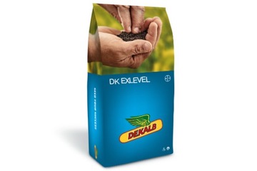 RZEPAK DEKALB - DK EXLEVEL Buteo Star + Scenic Gold + Zinc Boost