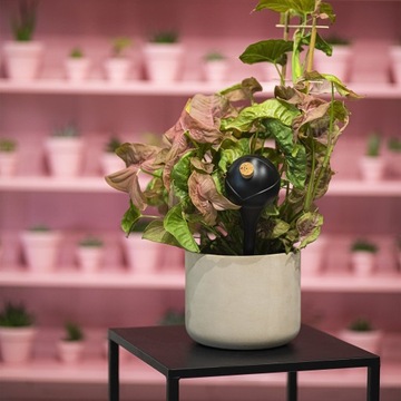 Шарики для полива растений С ПРОБКОЙ 400мл 4 шт