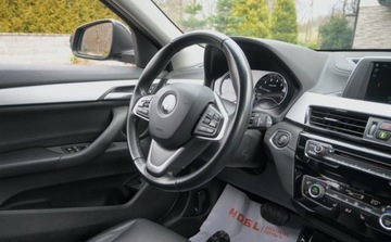 BMW X2 F39 Crossover 2.0 20i 192KM 2018 BMW X2 2,0i 192 KM Full Led Nawigacja Kamera SPORT-LINE 2.0 Benzyna 192KM, zdjęcie 22