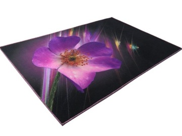 DYWAN HD DYWANY PLUSZOWE KOLEKCJA NATURA 120x170