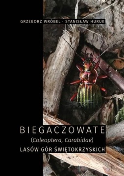 BIEGACZOWATE (COLEOPTERA, CARABIDAE) LASÓ.. EBOOK
