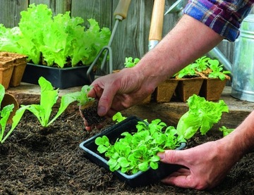 ВЕРМИКОМПОСТ Удобрение Биогумус Навоз Садовая Земля от дождевых червей Экагро