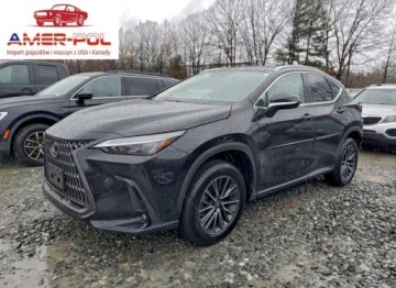 Lexus NX II 2025 Lexus NX 250 Premium 2025 2.5 Benzyna 203KM