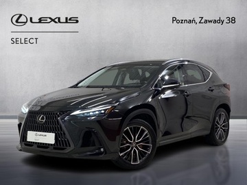 Lexus NX II SUV 350h 242KM 2022 Lexus NX 350h Omotenashi AWD II (2021-) Lexus NX 3