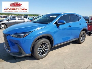 Lexus NX II 2023 Lexus NX 250 2023, od ubezpieczalni 2.5 Benzyna 203KM