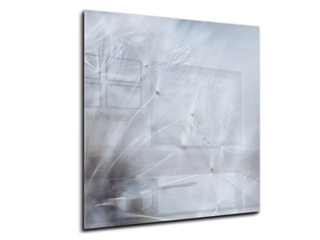 panel szklany między meble dekor 50x55 dmuchawiec