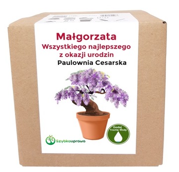 Zestaw paulownia urodziny Małgorzaty Małgorzata