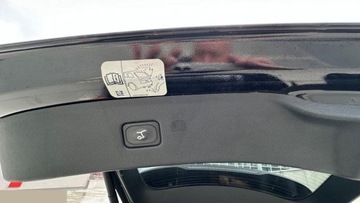 Ford Edge II SUV Facelifting 2.0 EcoBlue Bi-Turbo 238KM 2019 Ford Edge 2.0 EcoBlue Twin-Turbo 4WD ST-Line 238KM 2019r Salon PL, zdjęcie 13