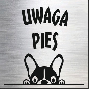 UWAGA PIES 13 tabliczka / grawer CNC / 20 x 20 cm