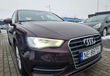 Audi A3 8V Cabriolet 2.0 TDI clean diesel 150KM 2015 Audi A3 Sportback 2.0TDI 150KM 6Bieg.FulLed Navi 2xPDC BluetoothFulserwis, zdjęcie 8