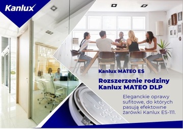 Kanlux MATEO ES DLP-250-B черный потолочный светильник