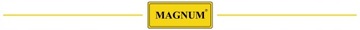 ВЫПРЯМИТЕЛЬ с пуском Magnum DINAMIK XS для зарядки аккумуляторов 12/24В