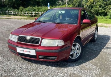 Skoda Octavia I Hatchback 1.9 TDI 101KM 2007