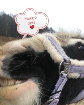 ЗАЩИТНЫЙ ЖИЛЕТ ДЛЯ МОЛОДЕЖИ ОТ 12 ЛЕТ.