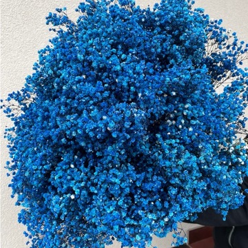 Стабилизированный гипс, высушенный, темно-синий букет.