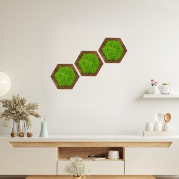 Настенное панно с натуральным мхом